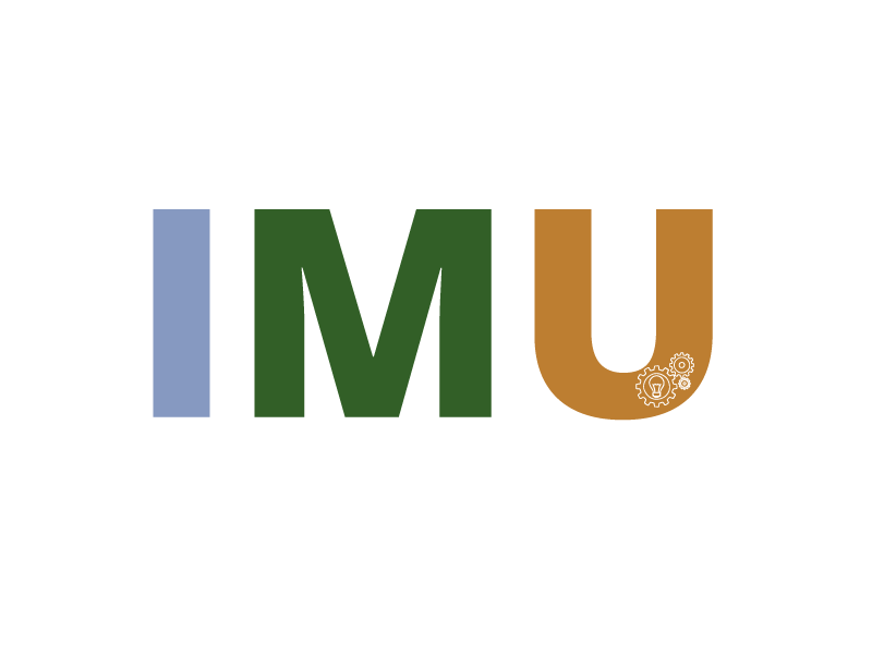 IMU 2020